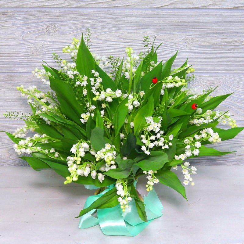 Ландыш голландский