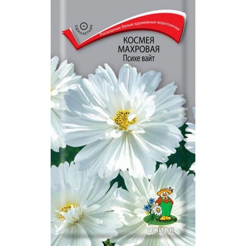 Космея Золушка Гавриш