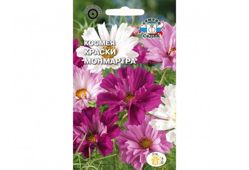 Космея махровая оранж