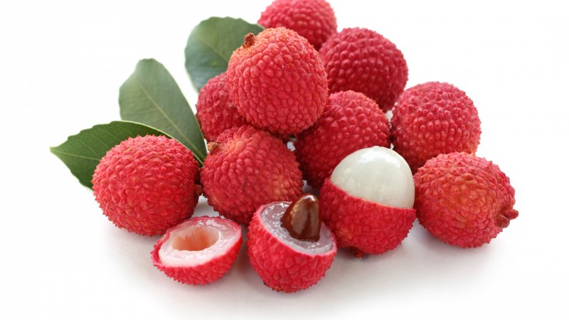 Litchi chinensis