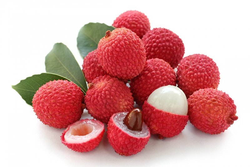 Litchi chinensis