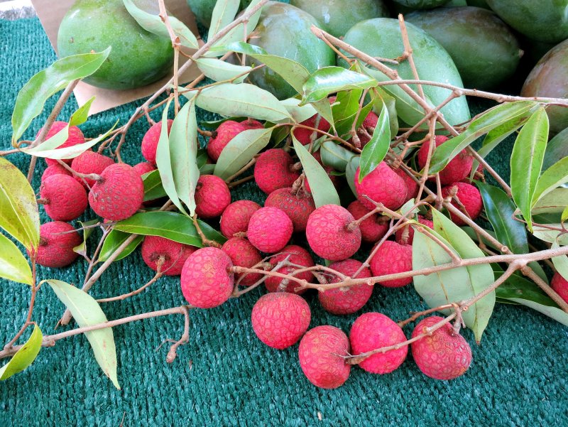 Fresh Lychee