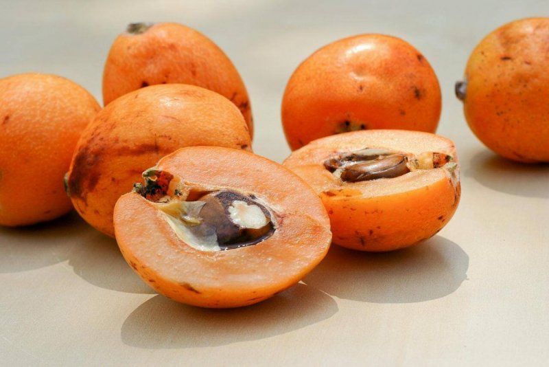 Нара Япония хурма