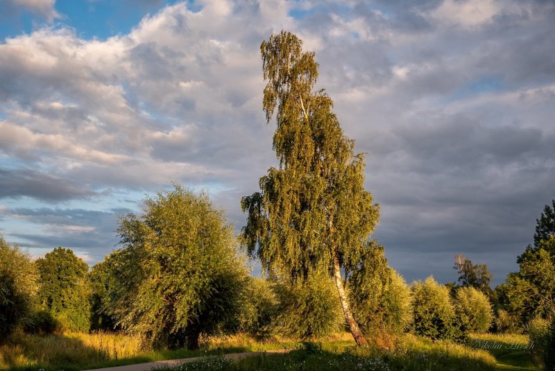 Пейзаж в рекламе