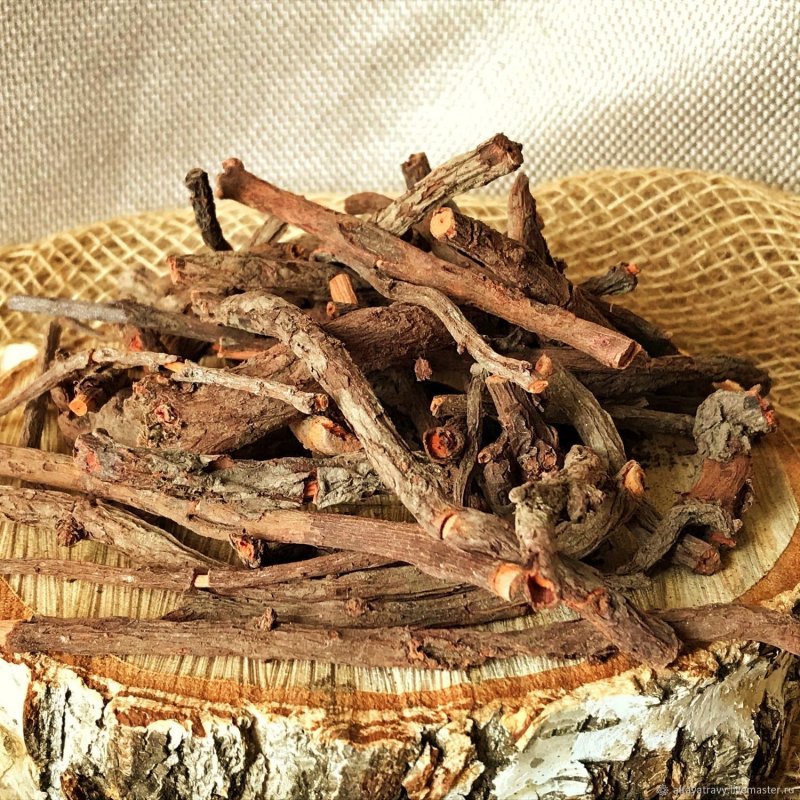 Корень Марены красильной