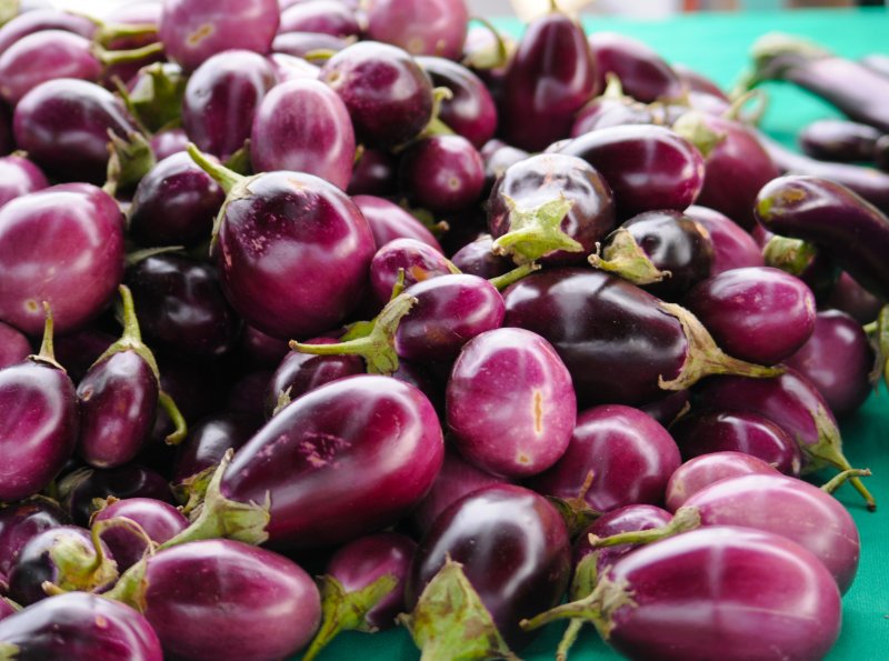 Eggplant Aubergine