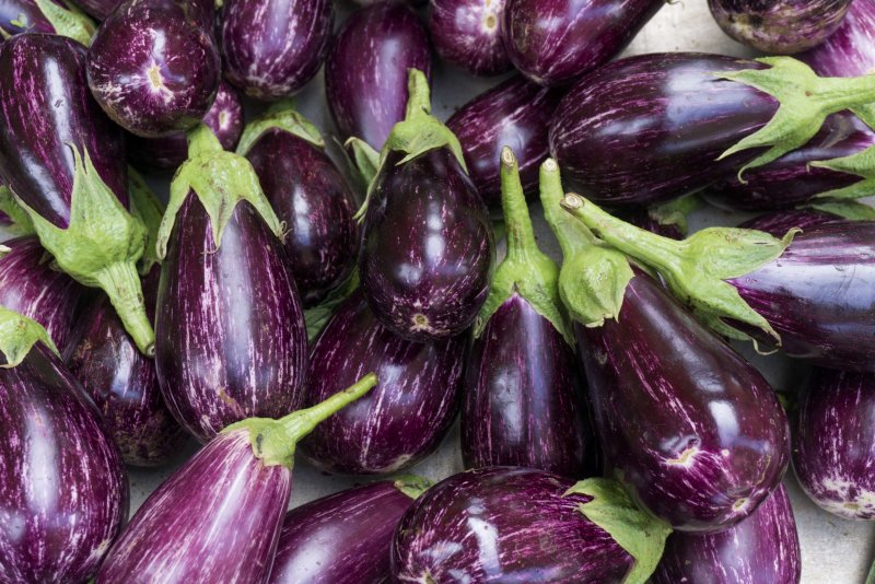 Eggplant цвет