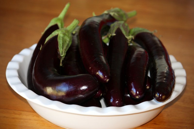 Eggplant Aubergine