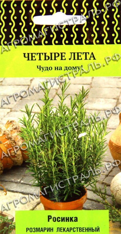 Розмарин многолетний