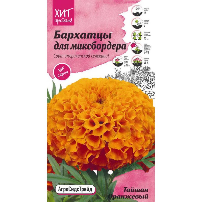Бархатцы Тайшан