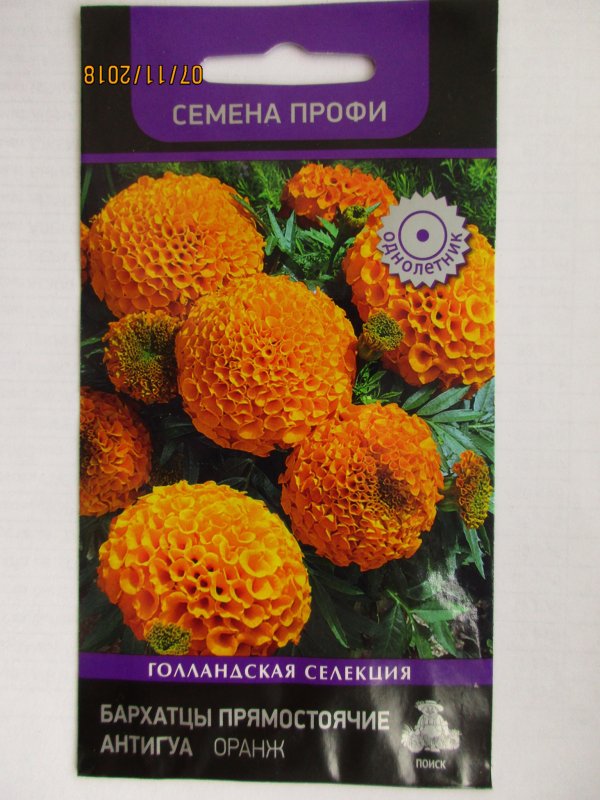 Бархатцы прямостоячие смесь