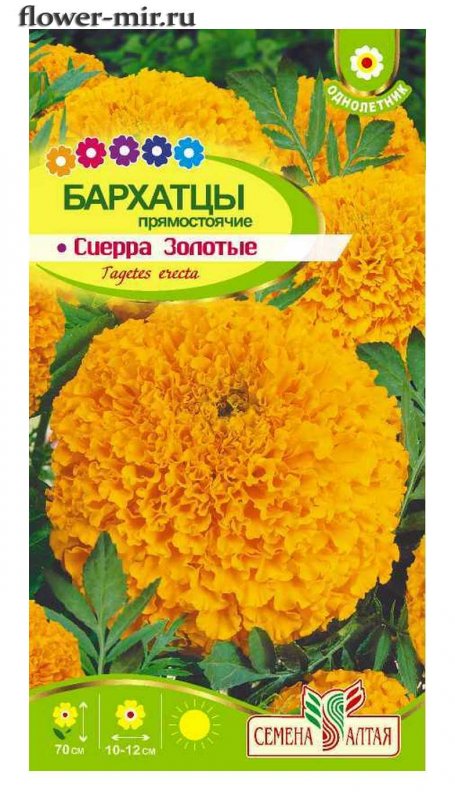 Бархатцы Тайшан семена Алтая
