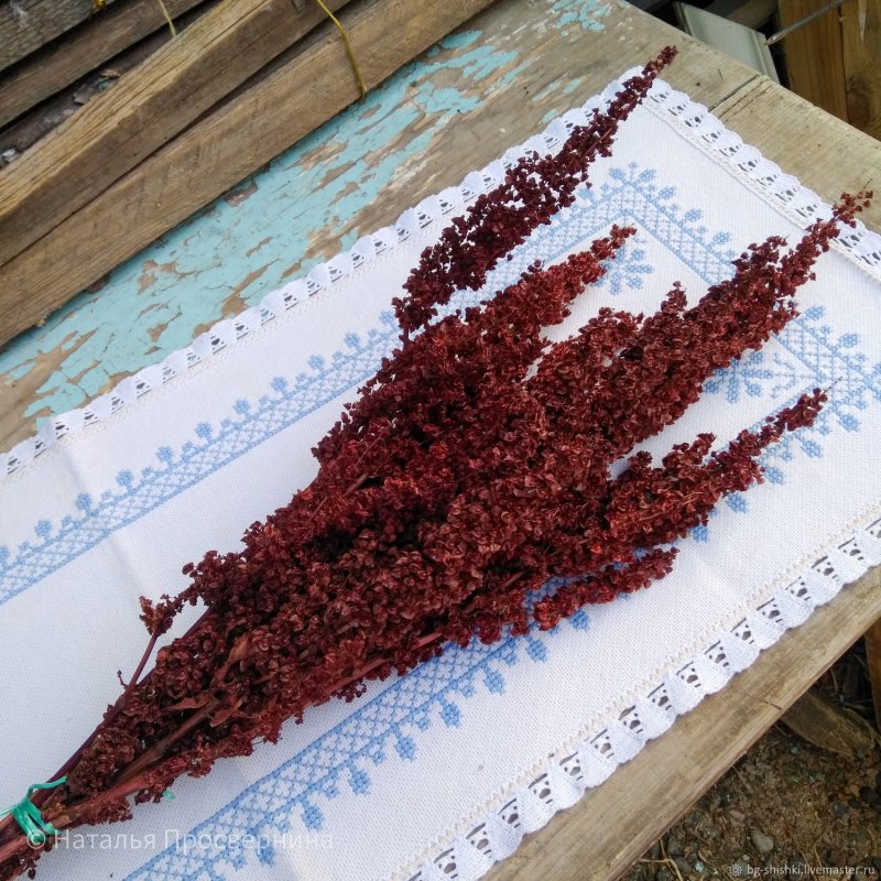 Конский щавель в букете