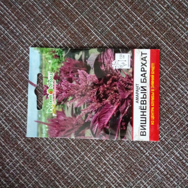 Амарант вишневый бархат семена