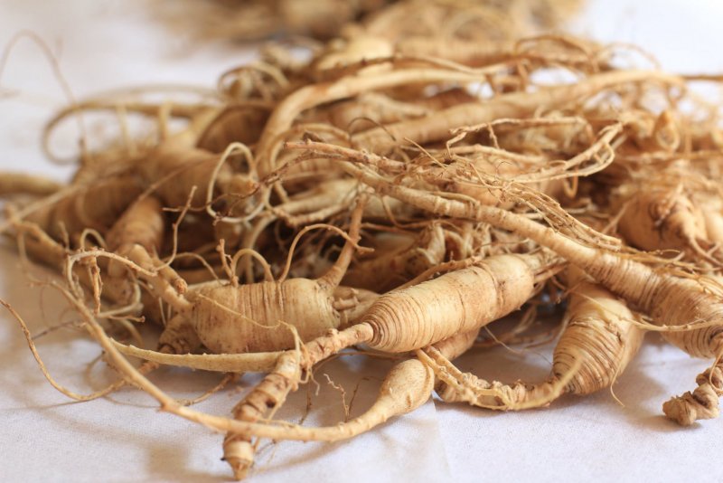 Panax Ginseng женьшень Seeds