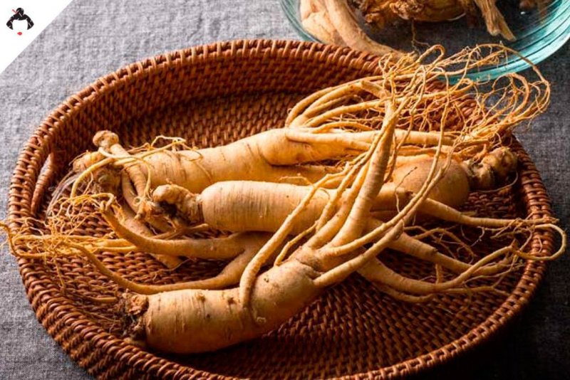 Женьшень пятилистный (Panax quinquefolius).