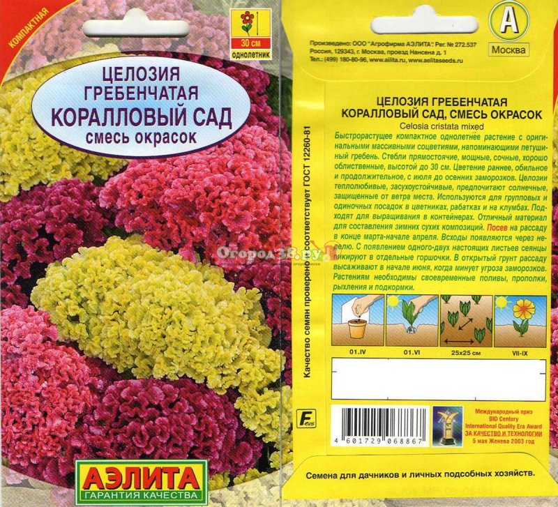 Целозия гребенчатая коралловый сад смесь окрасок