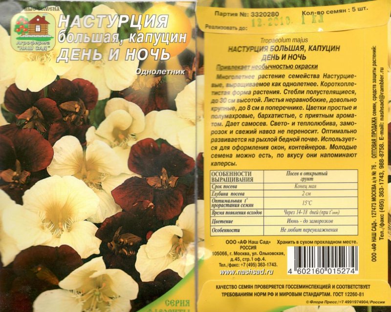 Настурция махровая в клумбе