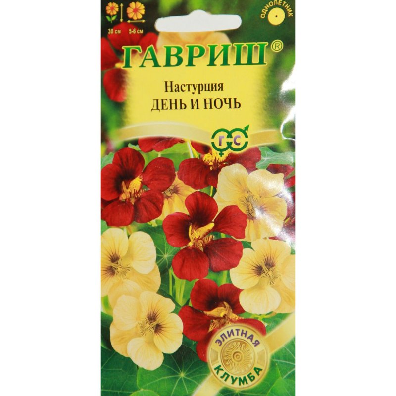 Настурция низкорослая на клумбе