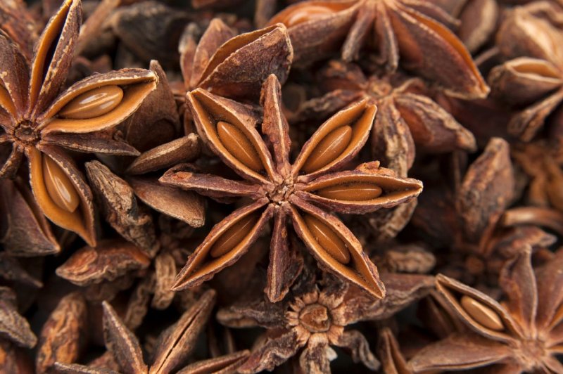 Бадьян анисовый(Illicium anisatum).