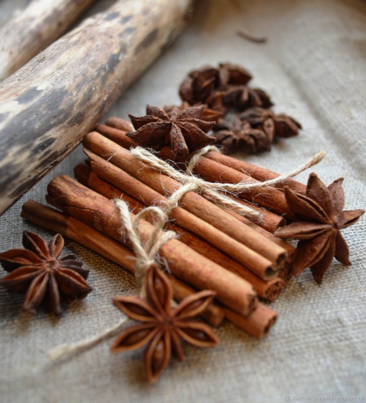 Illicium анис