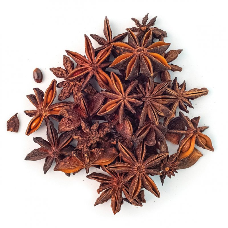 Иллициум Флоридский (Illicium floridanum)
