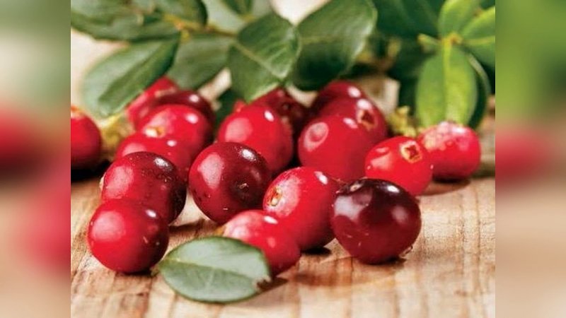 Cranberry клюква