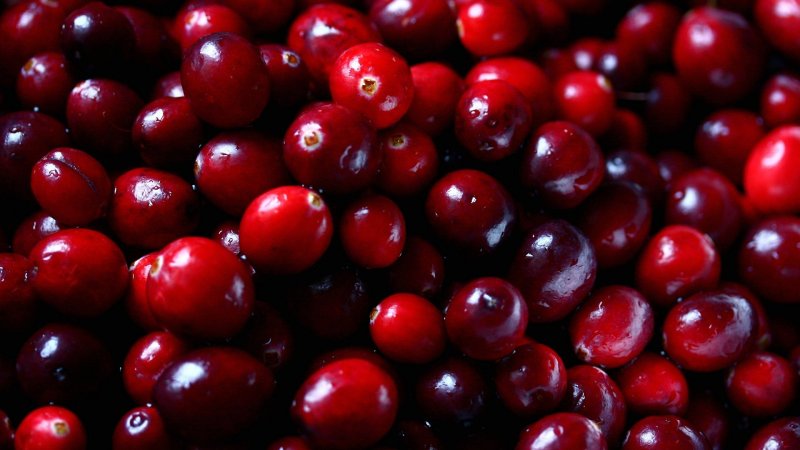 Северные ягоды клюква