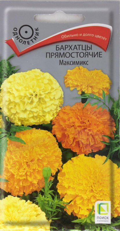 Бархатцы прямостоячие МАКСИМИКС