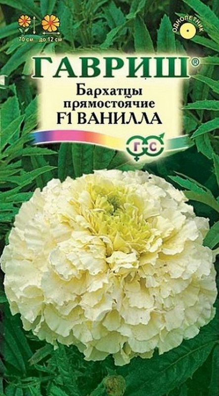 Семена бархатцы прямостоячие Ванилла