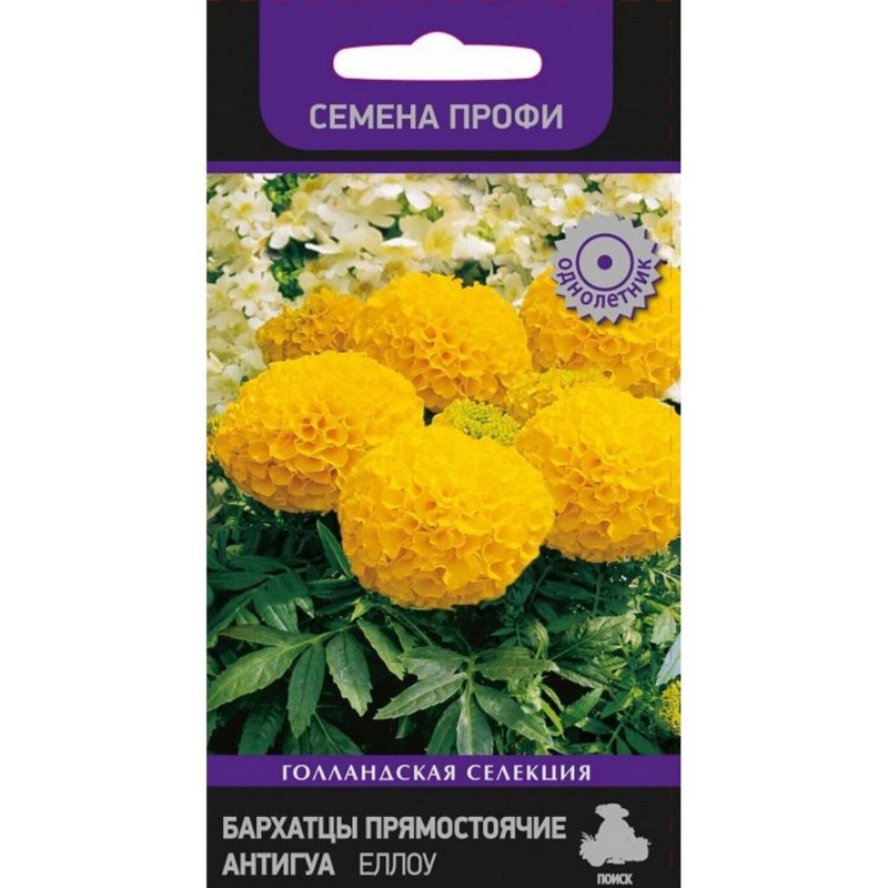 Бархатцы прямостоячие Антигуа Йеллоу