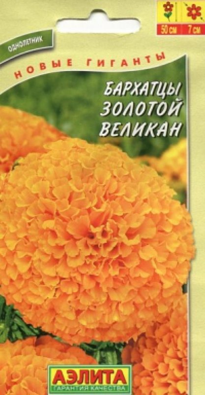 Бархатцы Спун золотые