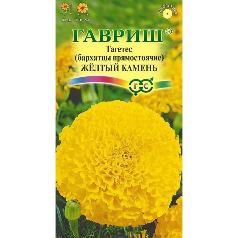 Бархатцы прямостоячие от Гавриш