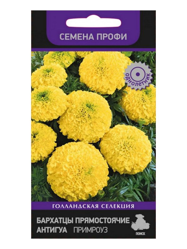 Бархатцы прямостоячие Антигуа