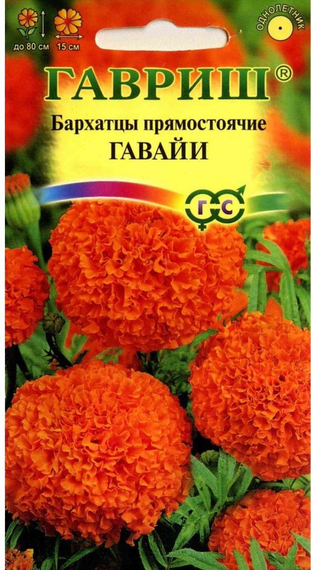 Бархатцы Гавайи Гавриш