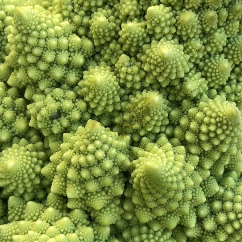 Капуста романеско