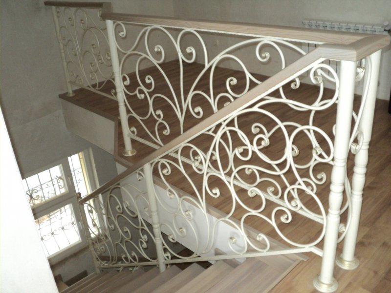 Перилла Нанкинская