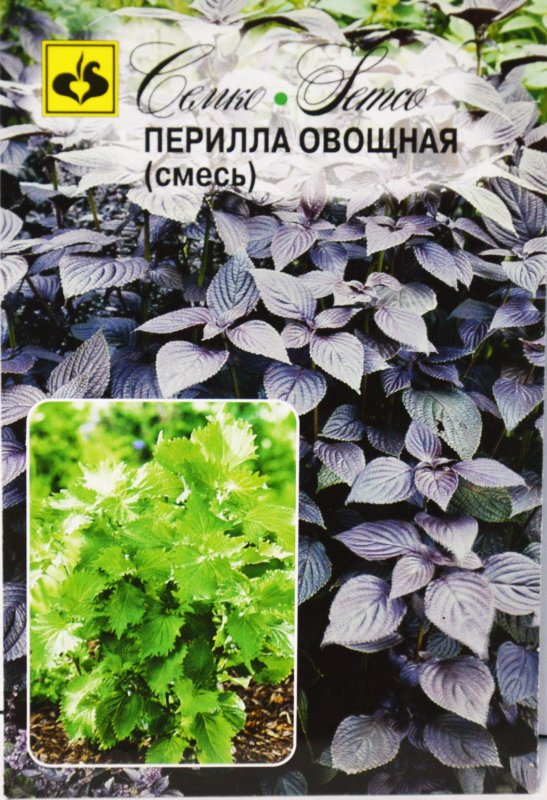 Перилла кустарниковая Нанкинская