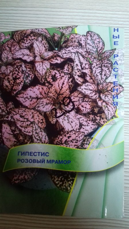 Гипоэстес красный мрамор семена