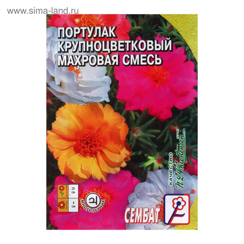 Портулак махровый