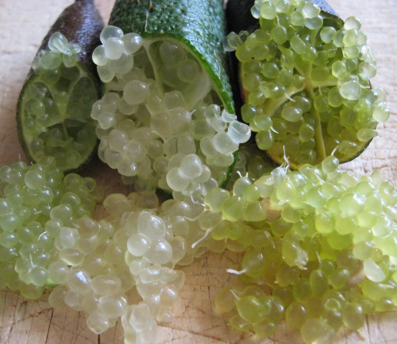 Австралийский пальчиковый лайм (finger Lime)