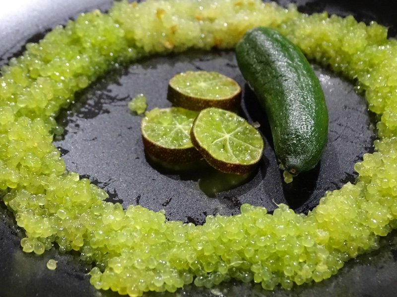 Микроцитрус Caviar