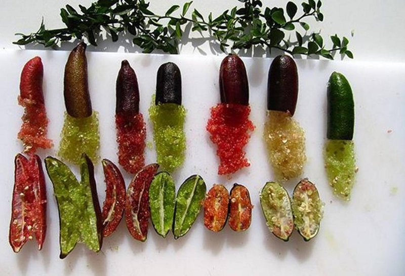 Австралийский пальчиковый лайм (finger Lime)