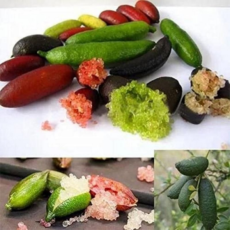 Лаймовая икра