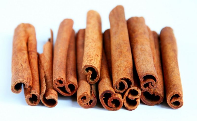 Дерево Cinnamomum Cassia