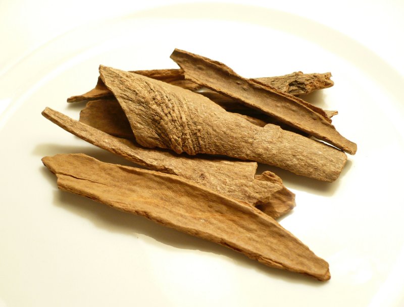 Cinnamomum glanduliferum