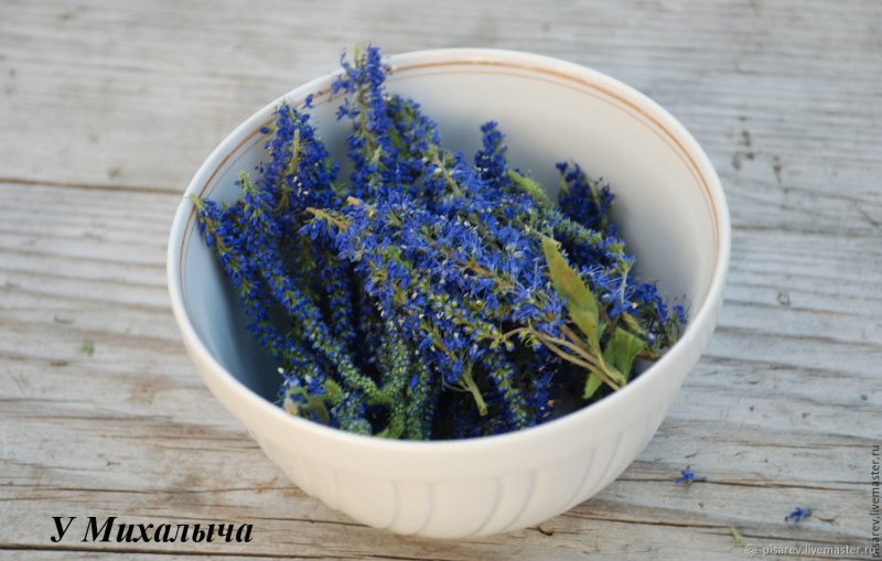 Вероника Дубравная Royal Blue