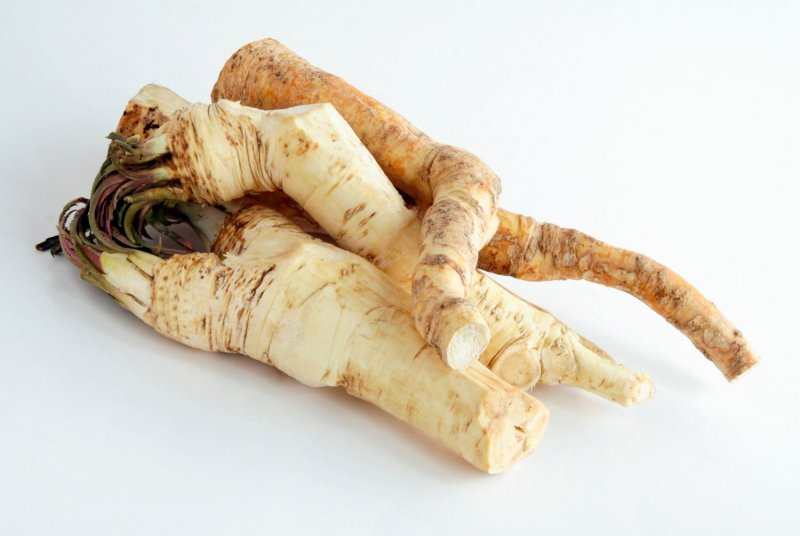 Корень хрена