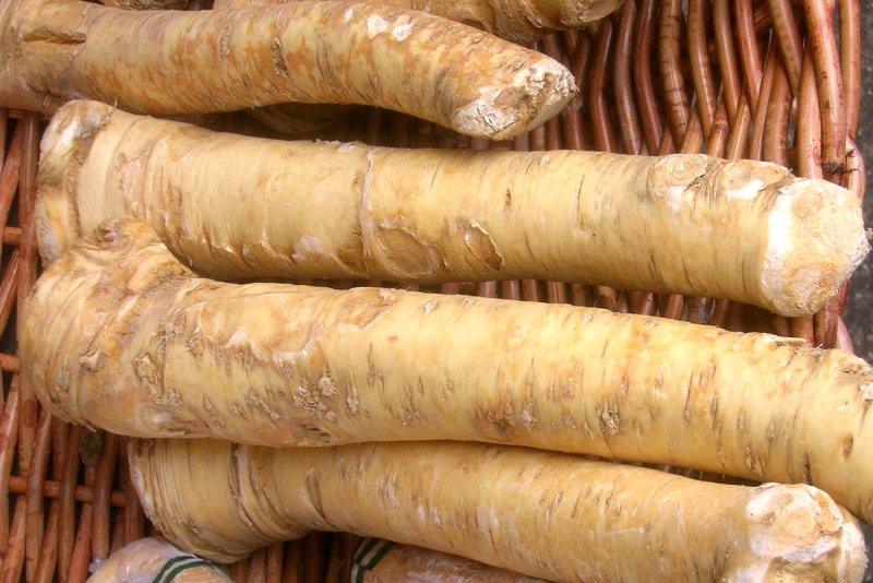Хрен корнеплод