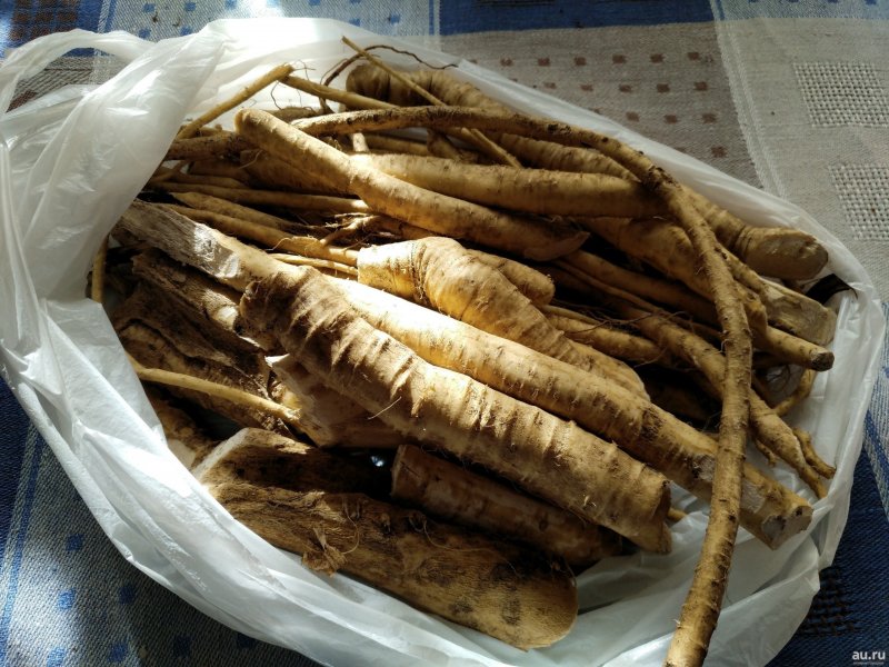 Корешки хрена